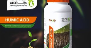 اسید هیومیک